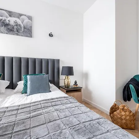 Modom Szymony 15 B Aparteo