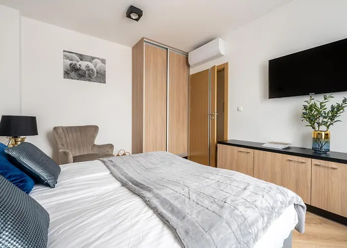 Modom Szymony 15 B Aparteo *